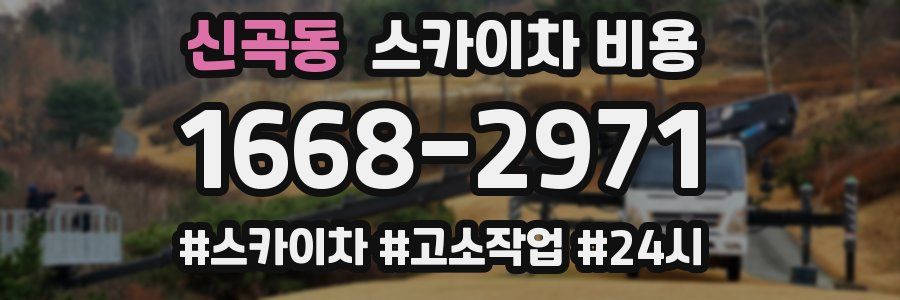 신곡동 스카이차 비용