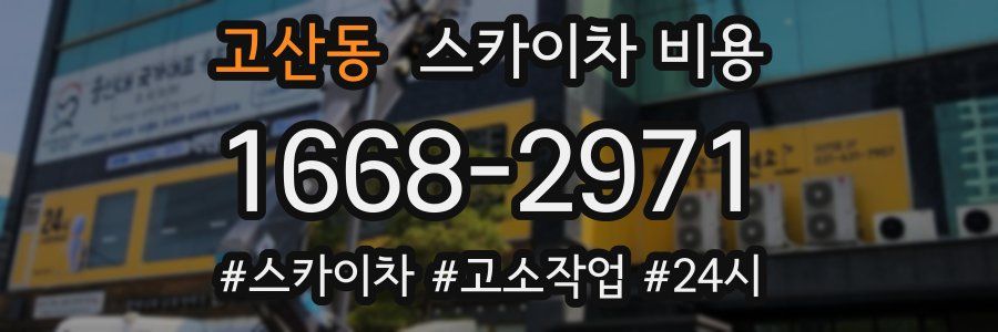 고산동 스카이차 비용