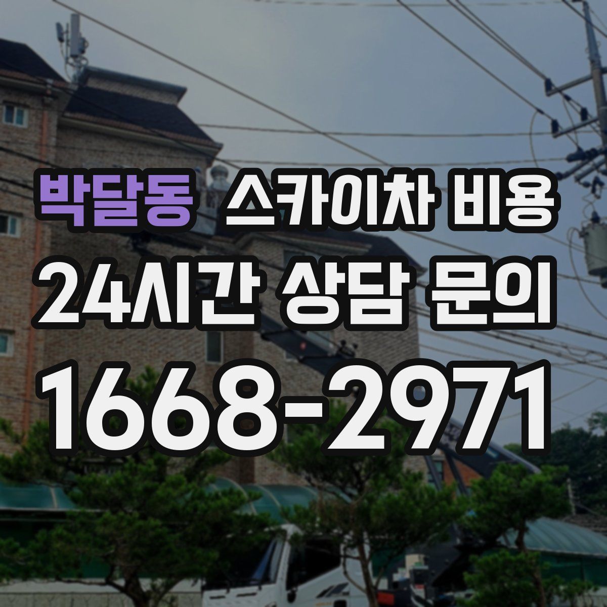 박달동 스카이차 비용