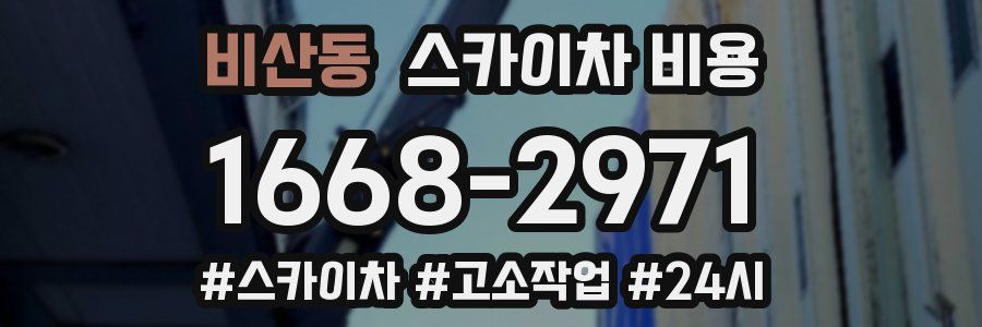비산동 스카이차 비용
