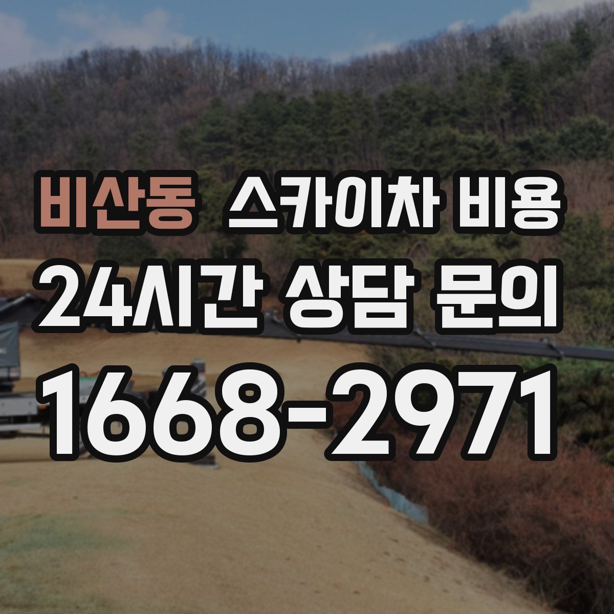 비산동 스카이차 비용
