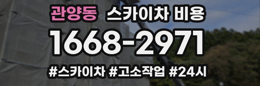 관양동 스카이차 비용