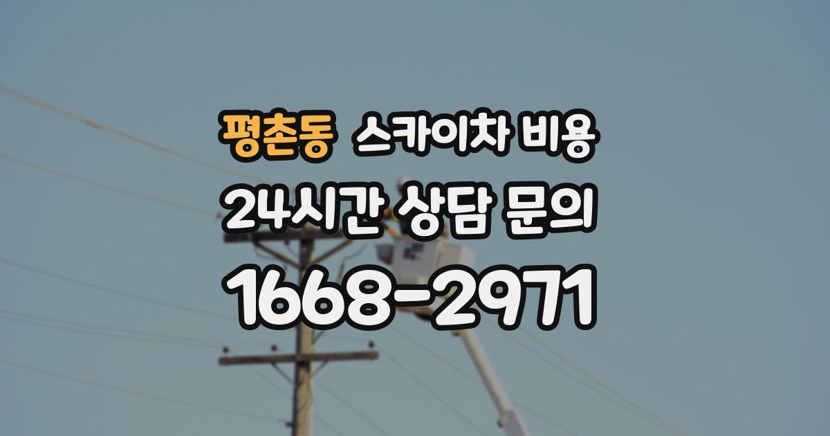 평촌동 스카이차 비용