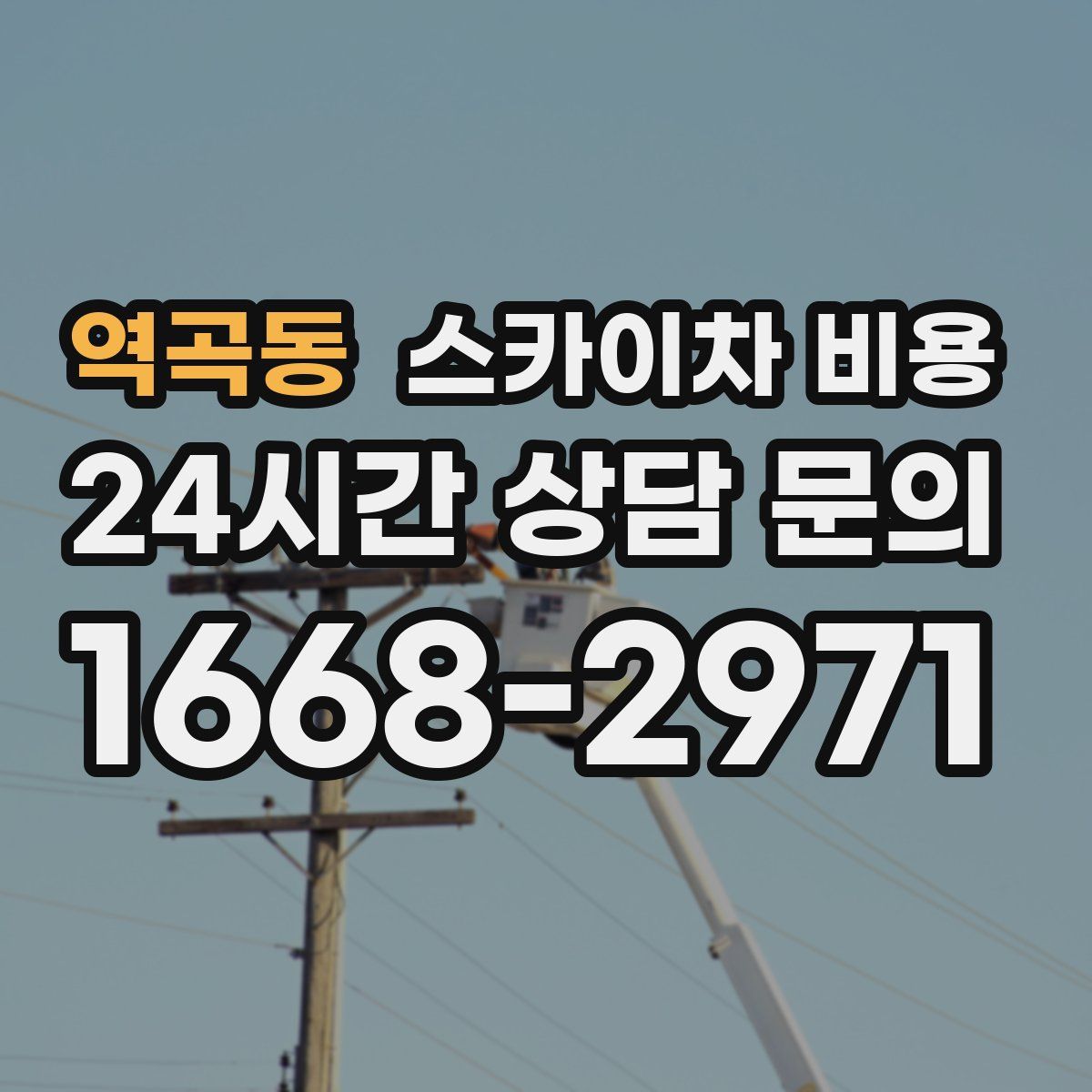 역곡동 스카이차 비용