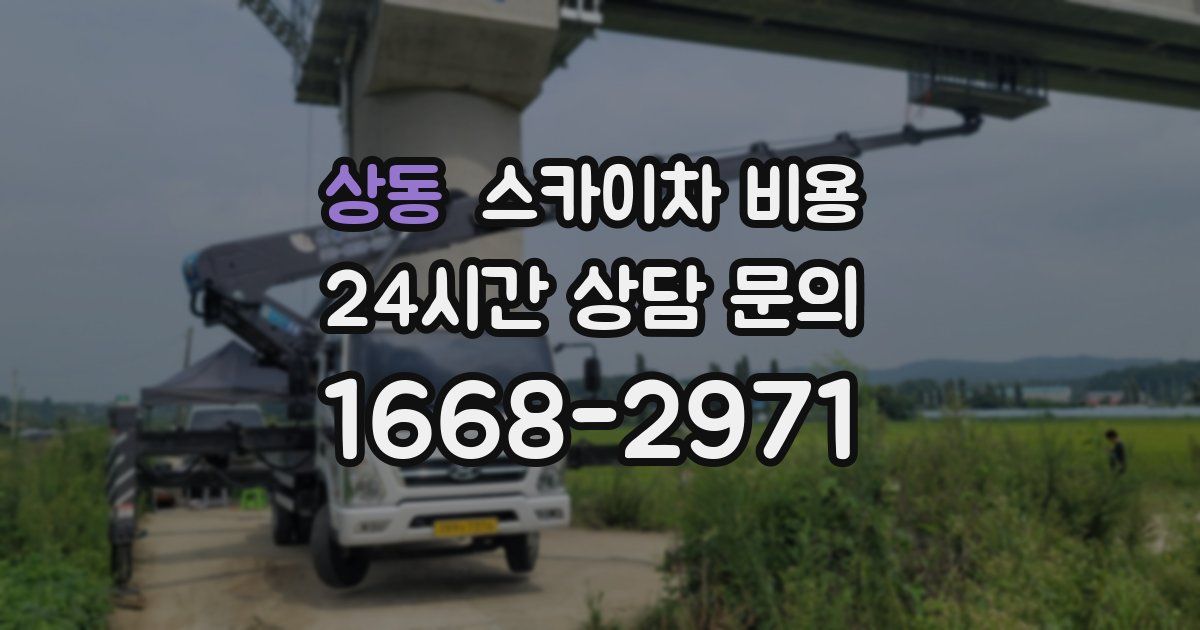 상동 스카이차 비용