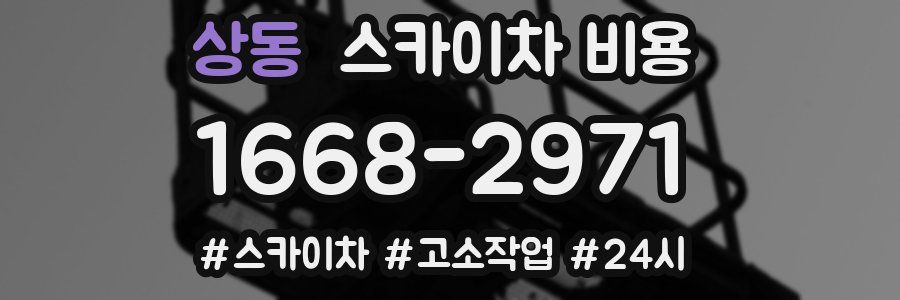 상동 스카이차 비용