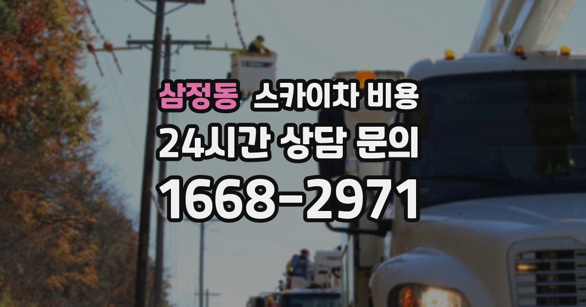 삼정동 스카이차 비용