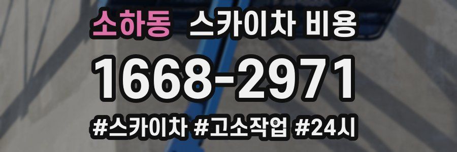 소하동 스카이차 비용