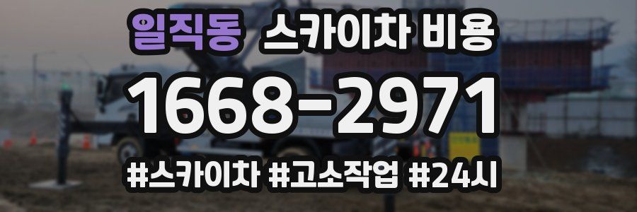 일직동 스카이차 비용