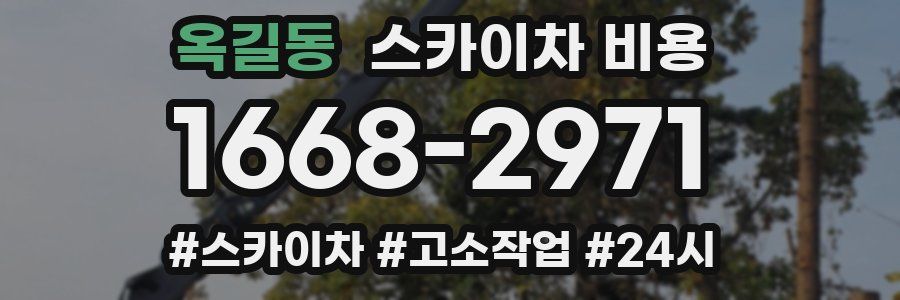 옥길동 스카이차 비용