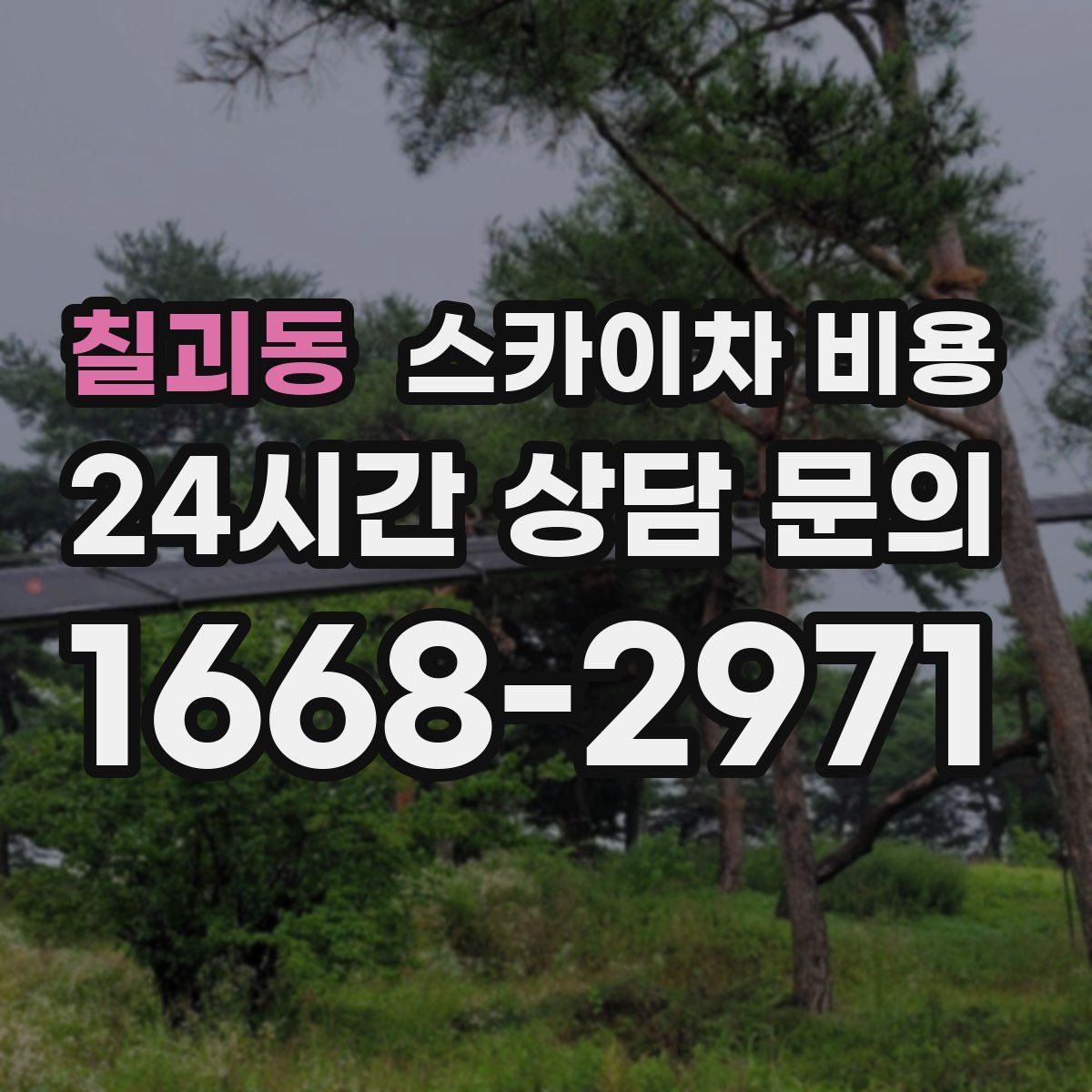 칠괴동 스카이차 비용