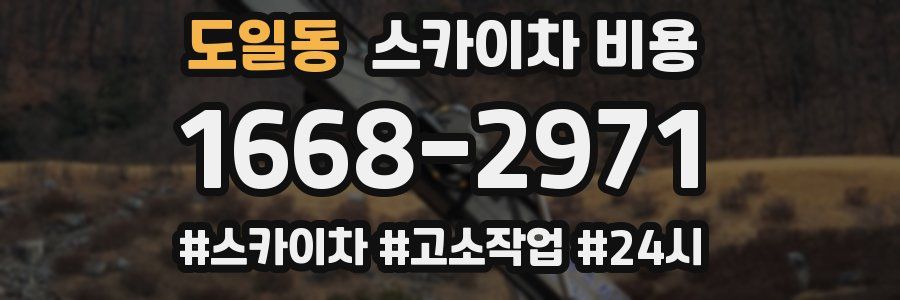 도일동 스카이차 비용