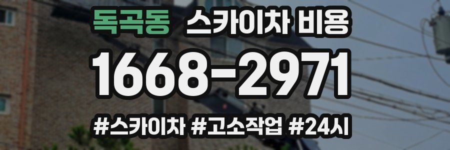 독곡동 스카이차 비용