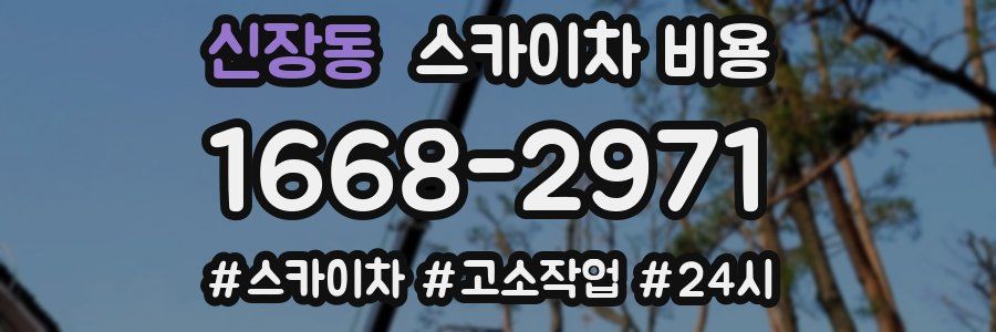 신장동 스카이차 비용