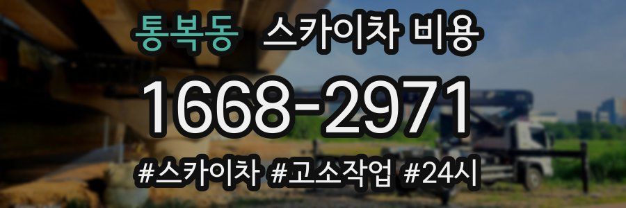통복동 스카이차 비용