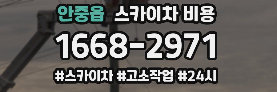 안중읍 스카이차 비용