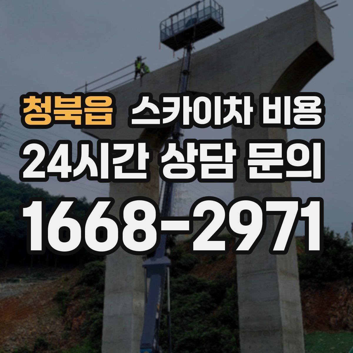 청북읍 스카이차 비용 나무 가지치기 작업은 어떤 기준으로 볼까