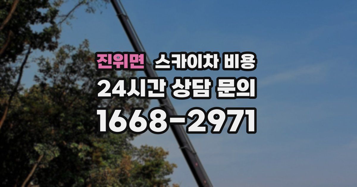 진위면 스카이차 비용