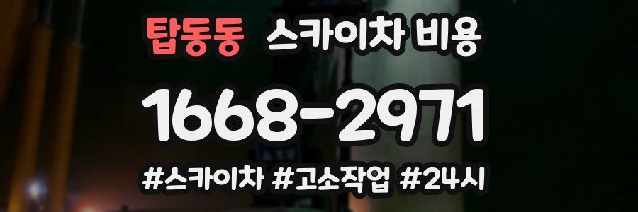 탑동동 스카이차 비용