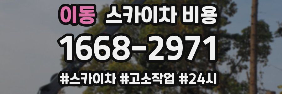 이동 스카이차 비용