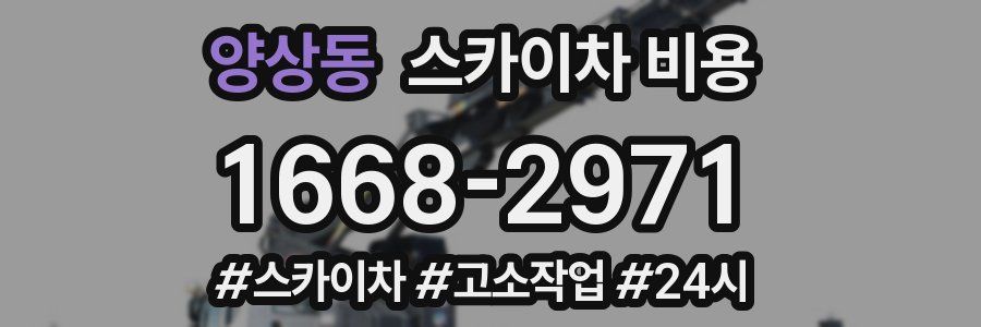 양상동 스카이차 비용