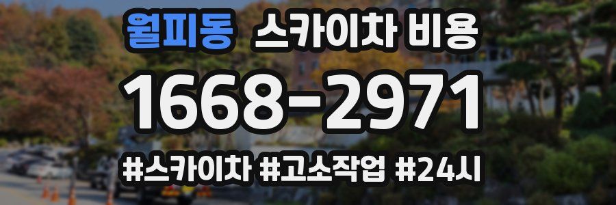 월피동 스카이차 비용