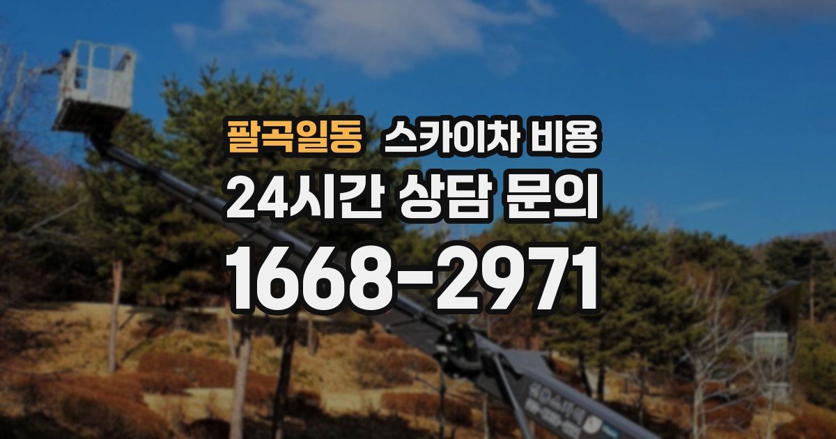 팔곡일동 스카이차 비용