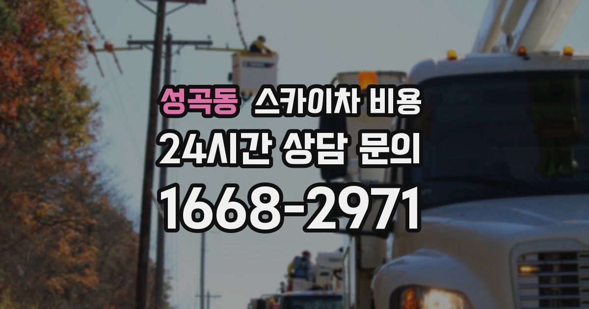 성곡동 스카이차 비용