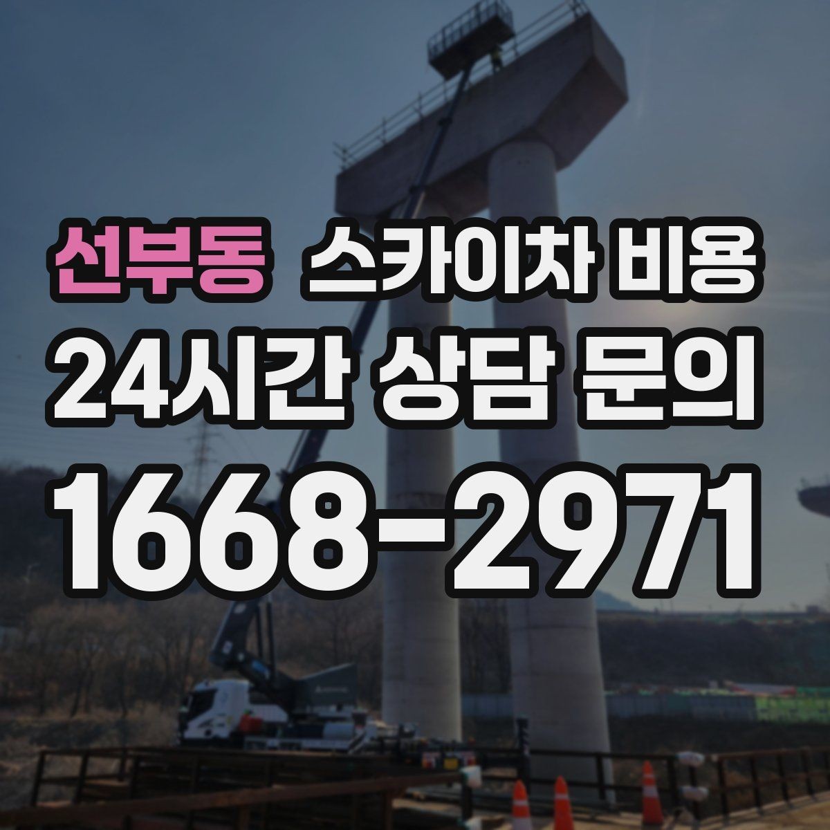 선부동 스카이차 비용 나무 가지치기 작업은 어떤 기준으로 볼까
