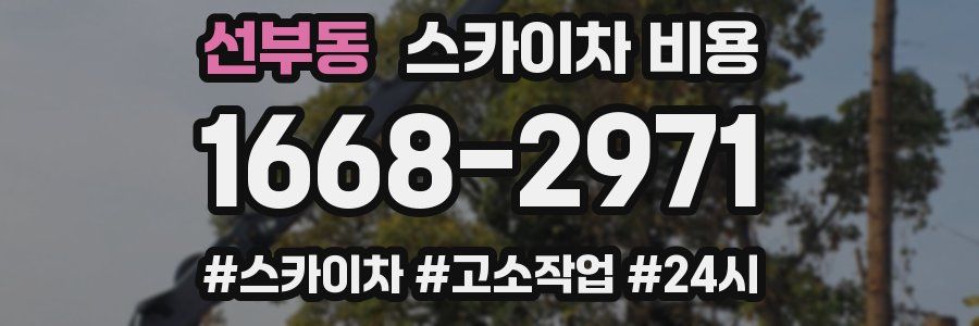 선부동 스카이차 비용