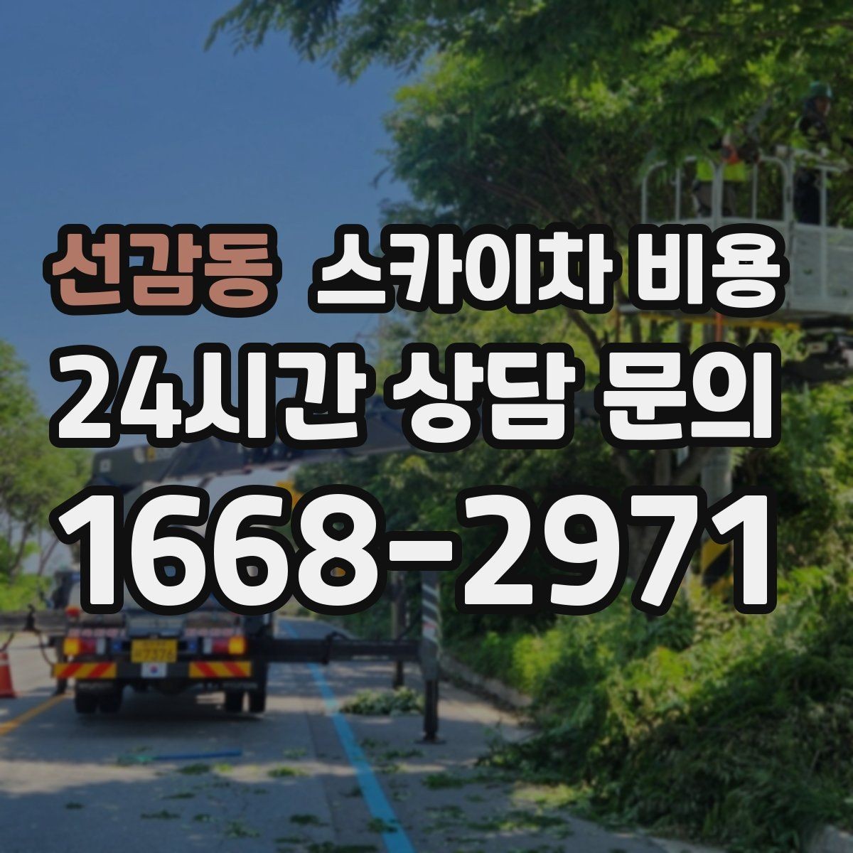 선감동 스카이차 비용 셋팅 시간이 오래 걸리는 현장 특징