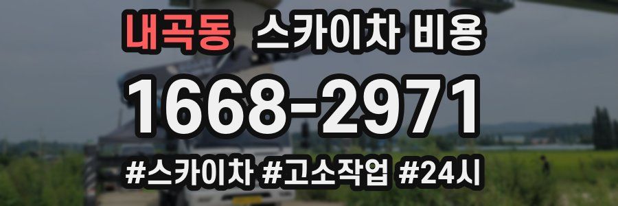 내곡동 스카이차 비용