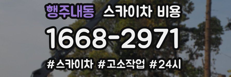 행주내동 스카이차 비용