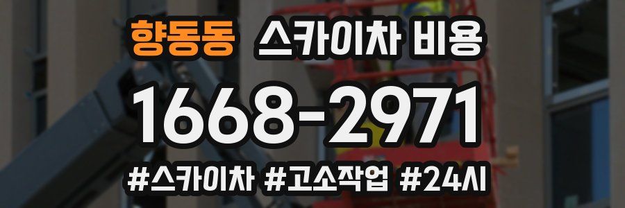 향동동 스카이차 비용