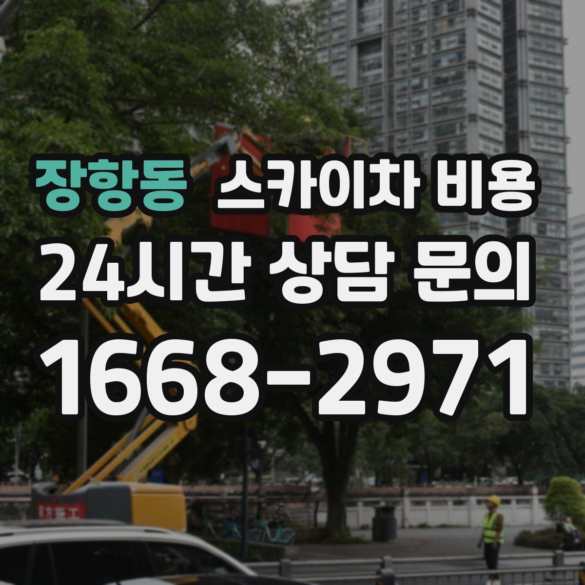 장항동 스카이차 비용 합리적으로 안내받는 방법을 정리했습니다