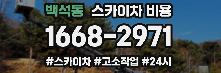 백석동 스카이차 비용