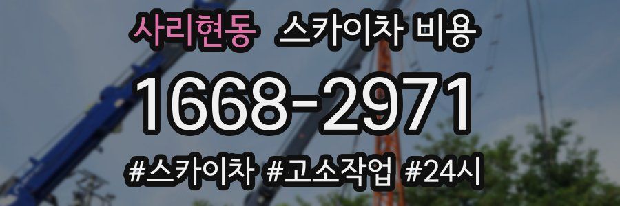 사리현동 스카이차 비용