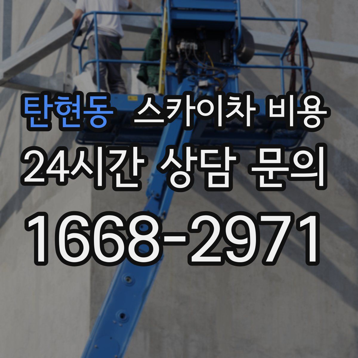 탄현동 스카이차 비용