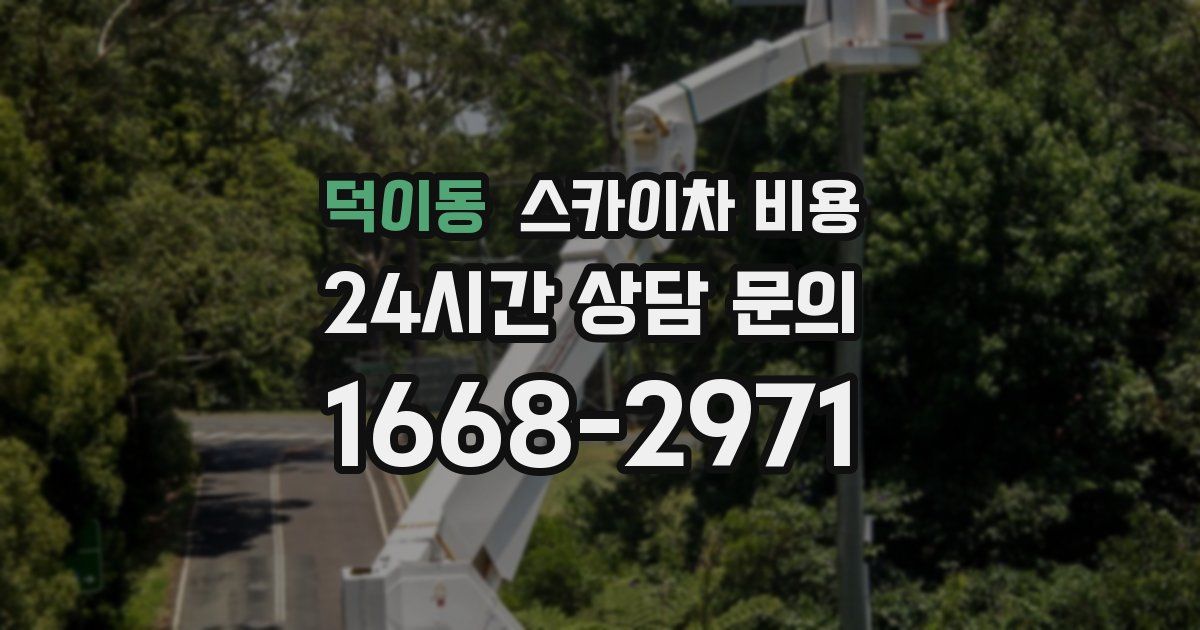 덕이동 스카이차 비용