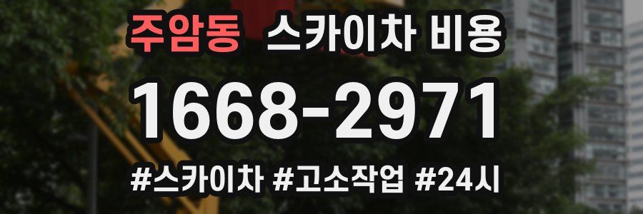 주암동 스카이차 비용