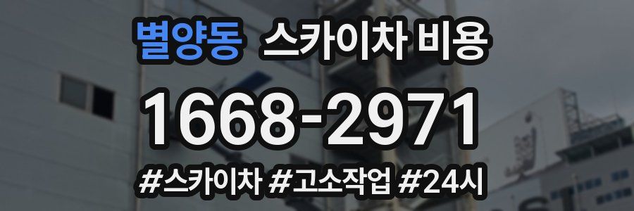 별양동 스카이차 비용