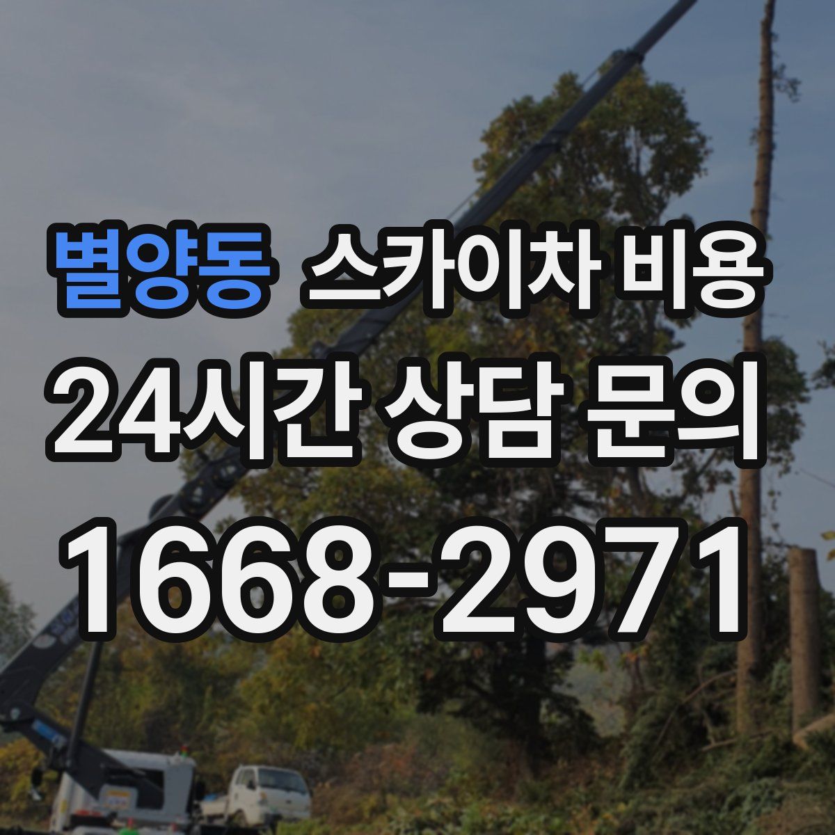 별양동 스카이차 비용