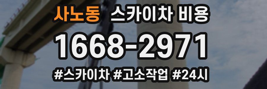 사노동 스카이차 비용