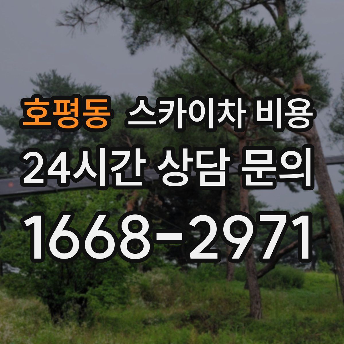 호평동 스카이차 비용