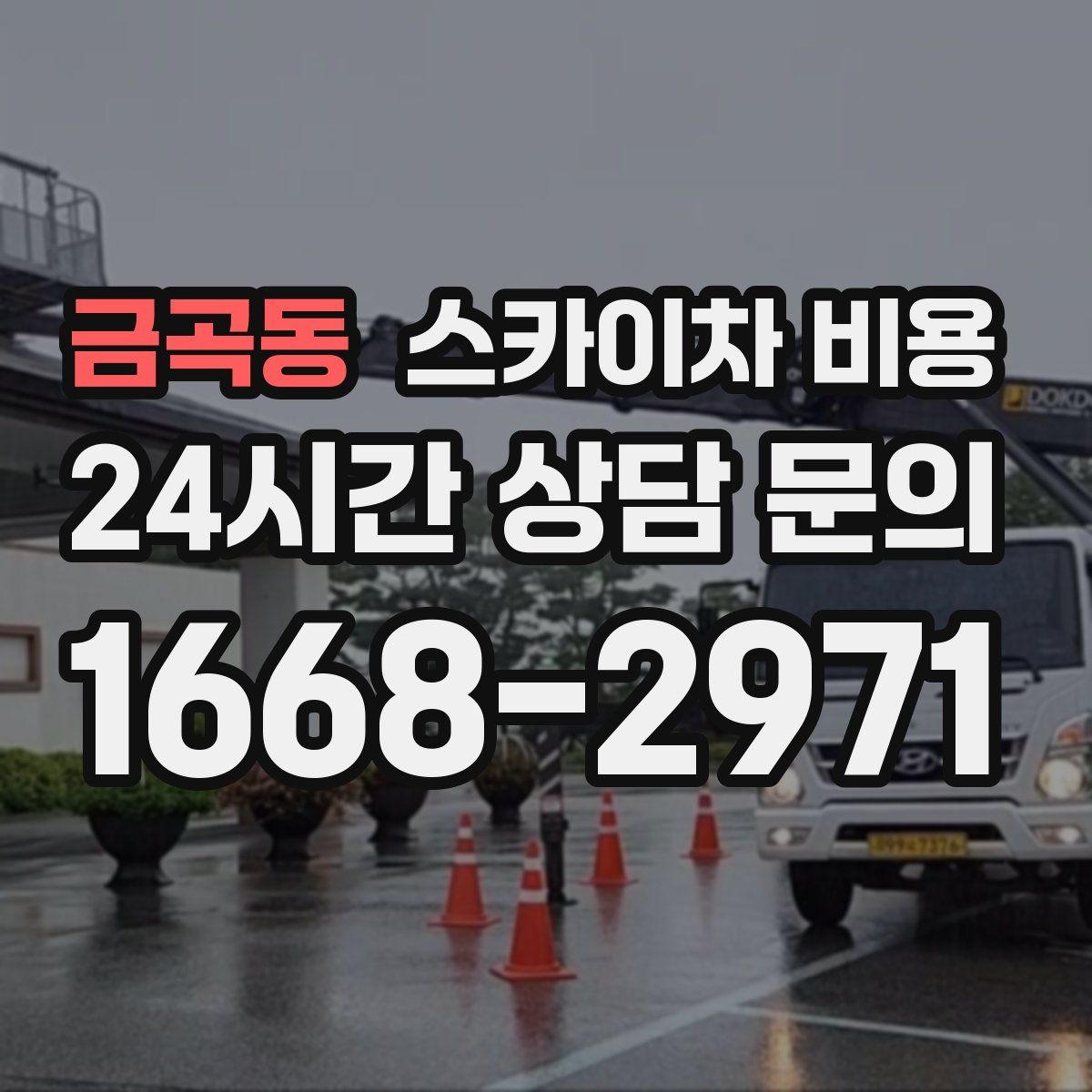 금곡동 스카이차 비용