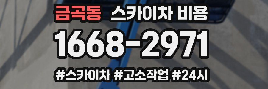 금곡동 스카이차 비용