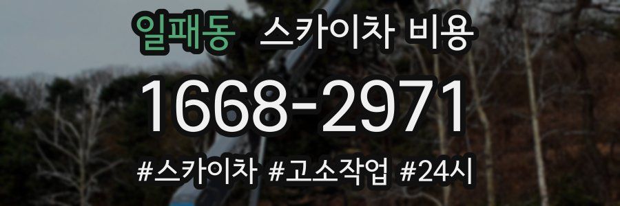 일패동 스카이차 비용