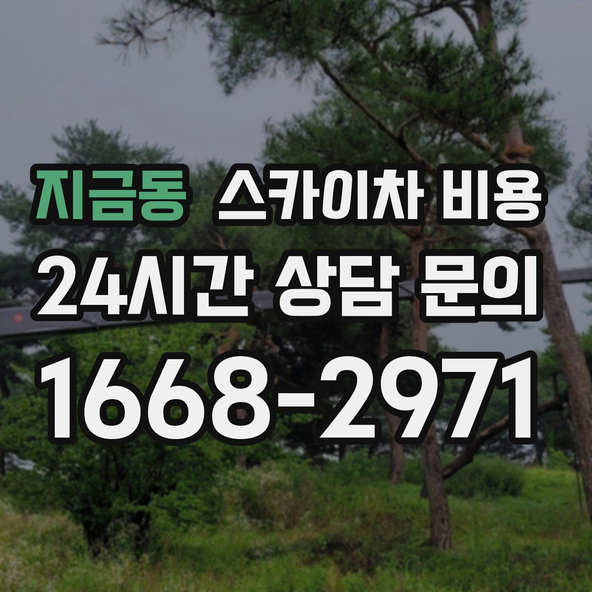 지금동 스카이차 비용