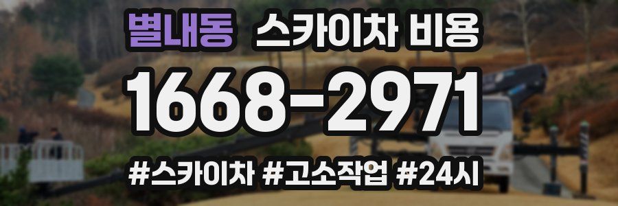 별내동 스카이차 비용