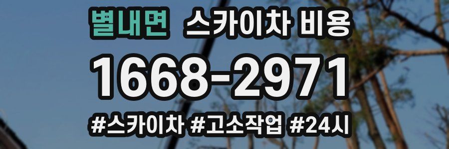 별내면 스카이차 비용